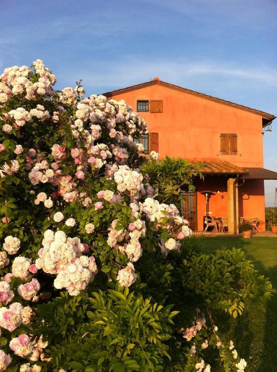 Villa Azienda Agrituristica Bellavista Montespertoli Exterior foto