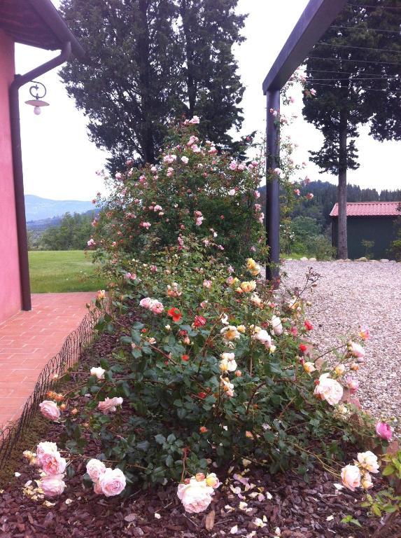 Villa Azienda Agrituristica Bellavista Montespertoli Exterior foto